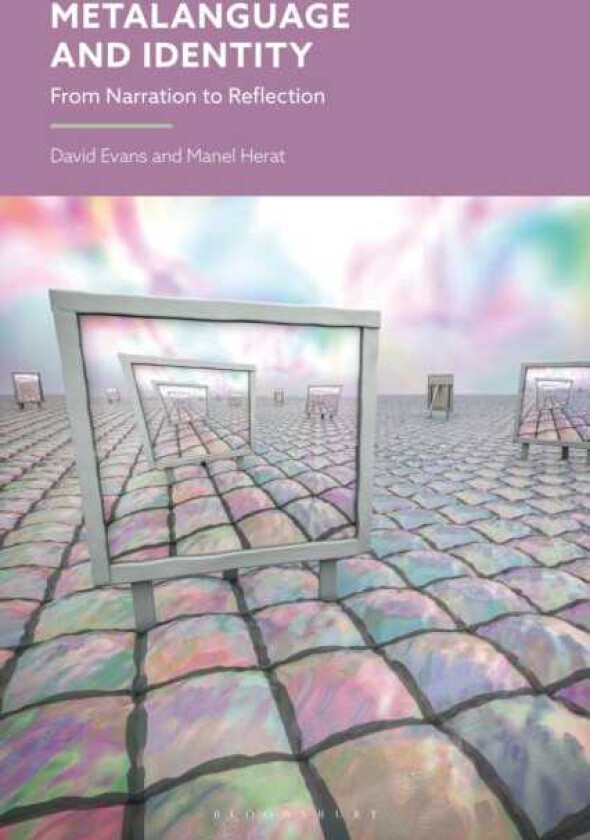 Metalanguage and Identity From Narration to Reflection