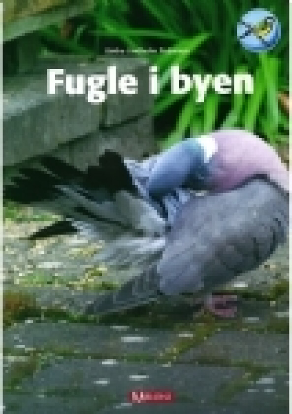 Fugle i byen | Birthe Lindholm Pedersen | Språk: Dansk