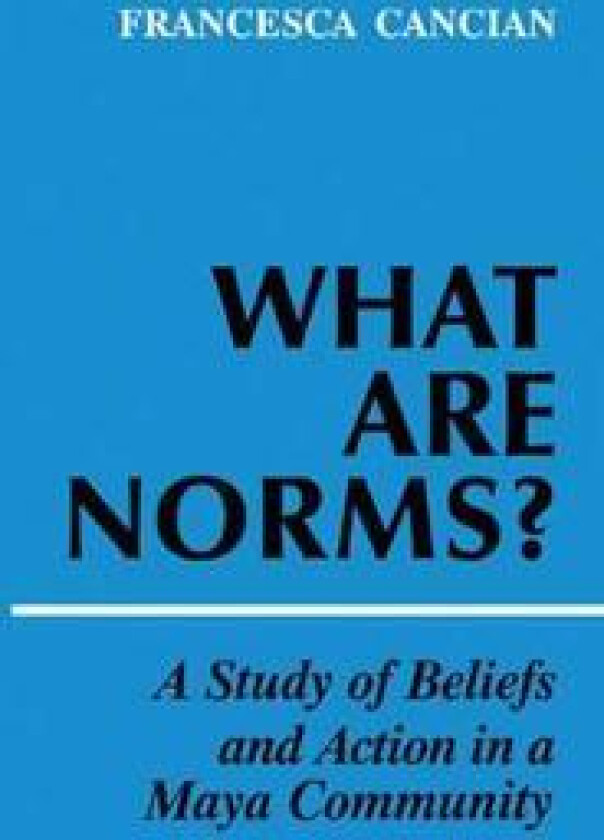 What Are Norms?