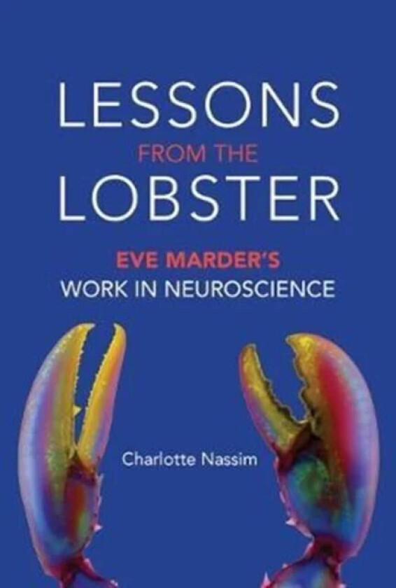 Lessons from the Lobster av Charlotte Nassim