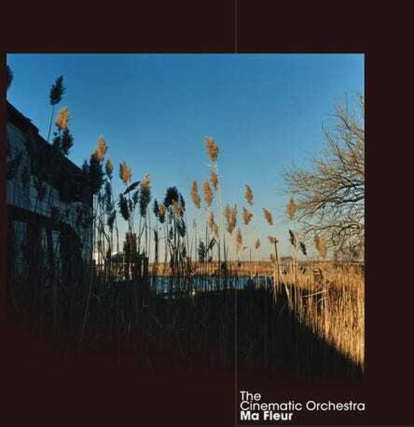 The Cinematic Orchestra Ma Fleur LP/Vinyl