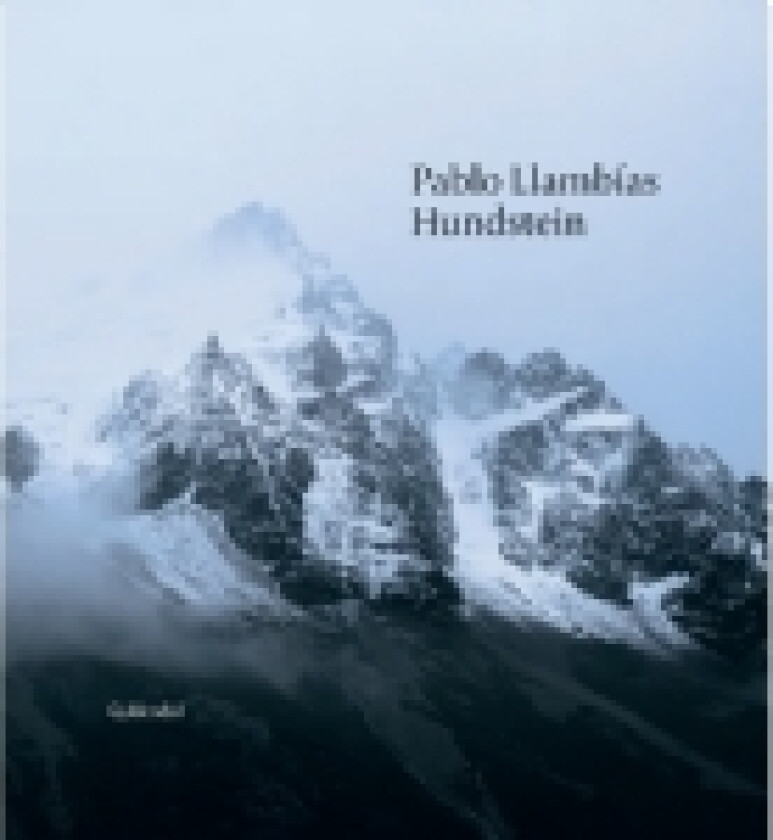 Hundstein | Pablo Llambías | Språk: Dansk