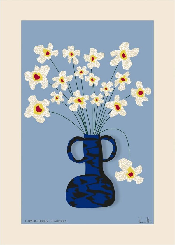 Flower Studies 04 (Margeritt) poster 30 x 40 cm