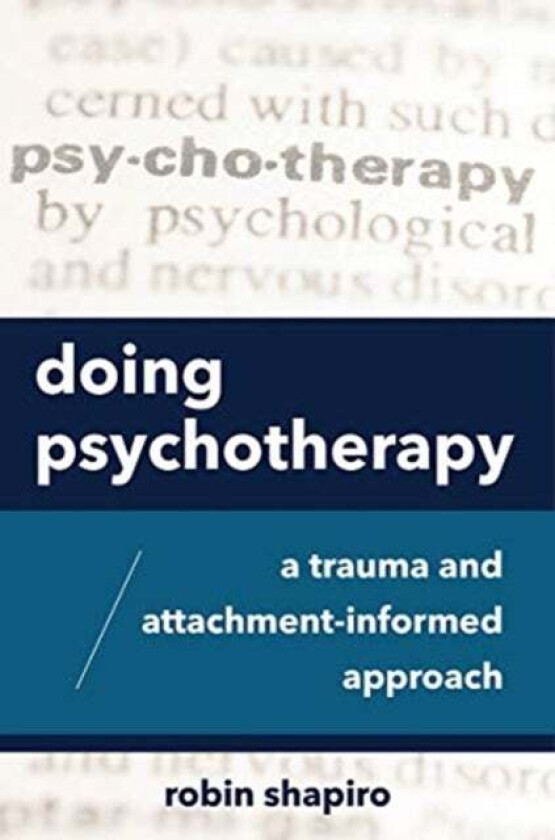 Doing Psychotherapy av Robin Shapiro
