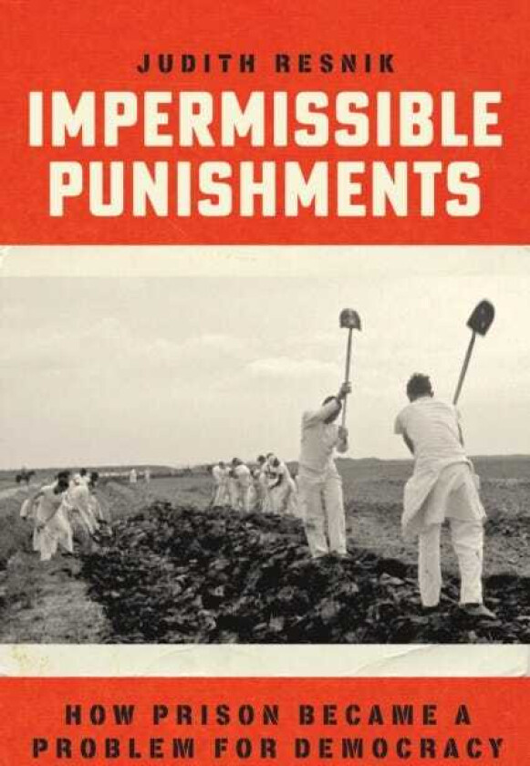 Impermissible Punishments How Prison Became a Problem for Democracy