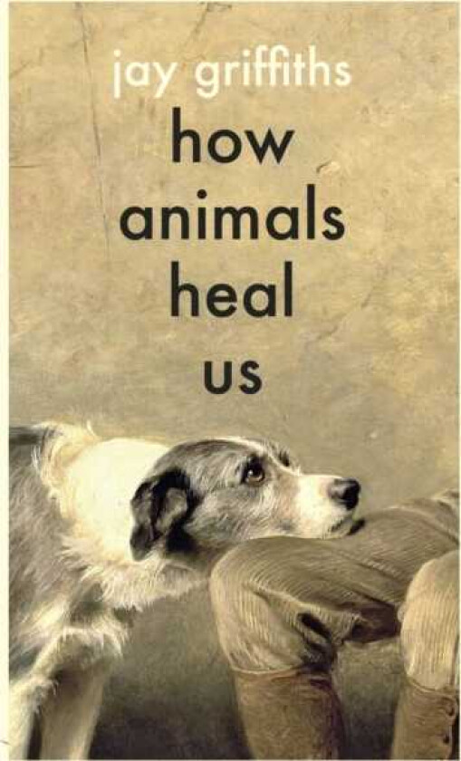 How Animals Heal Us