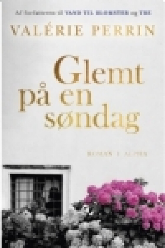 Glemt på en søndag | Valérie Perrin | Språk: Dansk