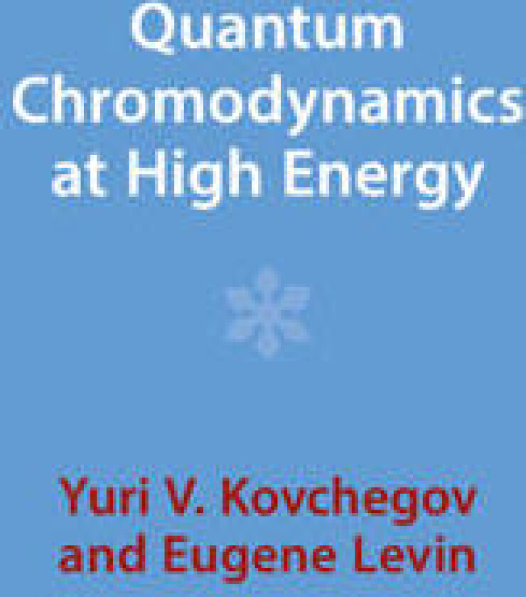 Quantum Chromodynamics at High Energy