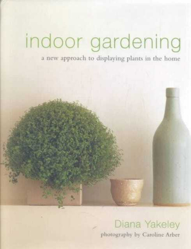 Indoor Gardening A New Approach to Displaying Plants in the Home