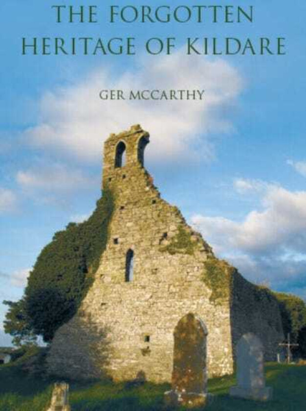The Forgotten Heritage of Kildare