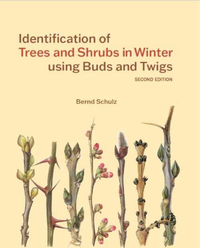 Identification of Trees and Shrubs in Winter using Buds and Twigs