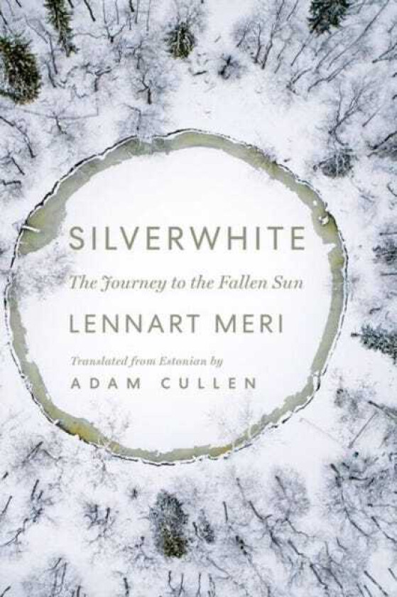 Silverwhite The Journey to the Fallen Sun