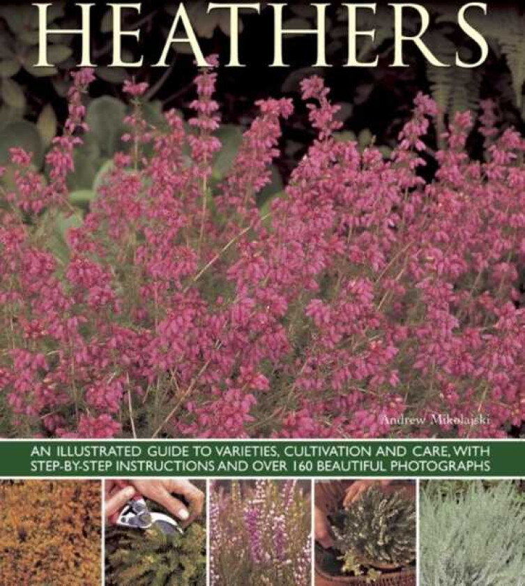 Heathers An Illustrated Guide to Varities, Cultivation and Care, with Stepbystep Instructions and Over 160 Beautiful Photographs