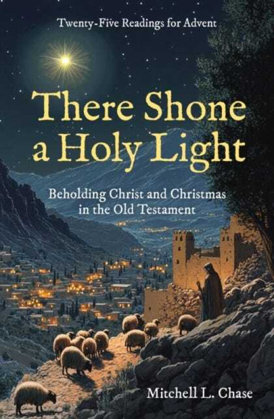 There Shone a Holy Light Beholding Christ and Christmas in the Old Testament: Twenty–Five Readings for Advent