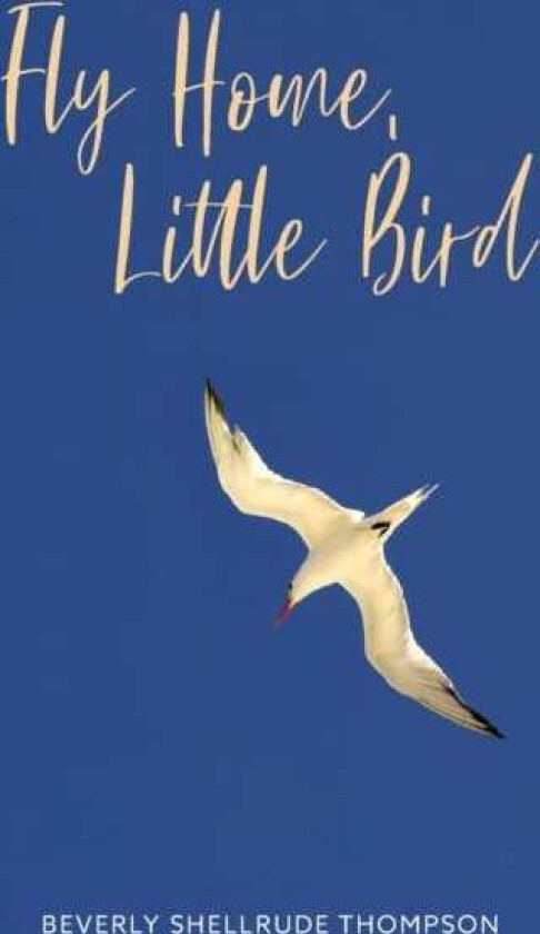 Fly Home, Little Bird