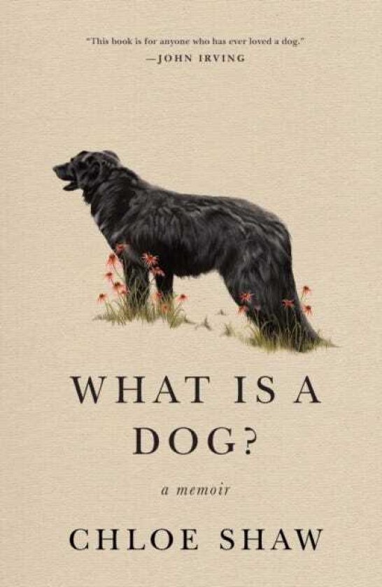 What Is A Dog? A Memoir