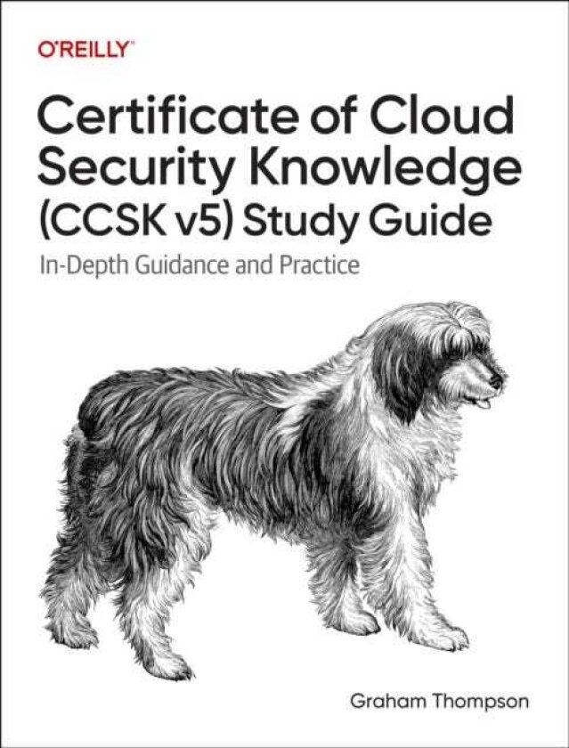 Certificate of Cloud Security Knowledge (CCSK v5) Official Study Guide InDepth Guidance and Practice