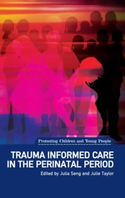 Trauma Informed Care in the Perinatal Period av Julia Seng, Julie Taylor