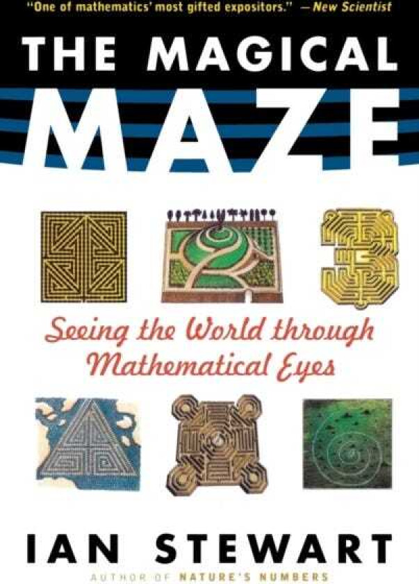 The Magical Maze Seeing the World Through Mathematical Eyes