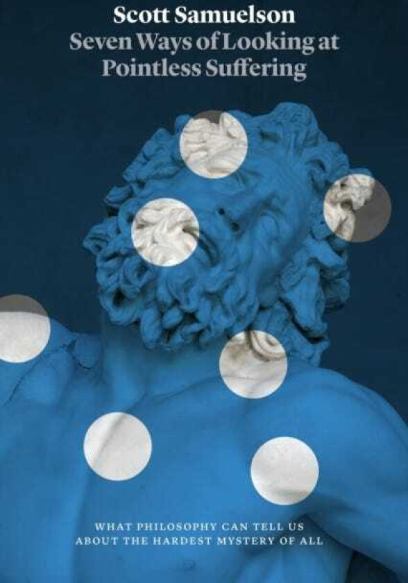 Seven Ways of Looking at Pointless Suffering What Philosophy Can Tell Us about the Hardest Mystery of All