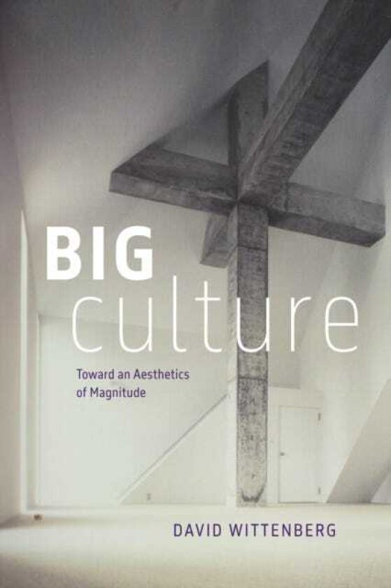Big Culture Toward an Aesthetics of Magnitude