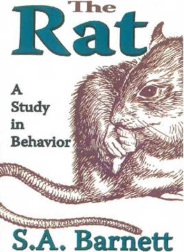 The Rat A Study in Behavior