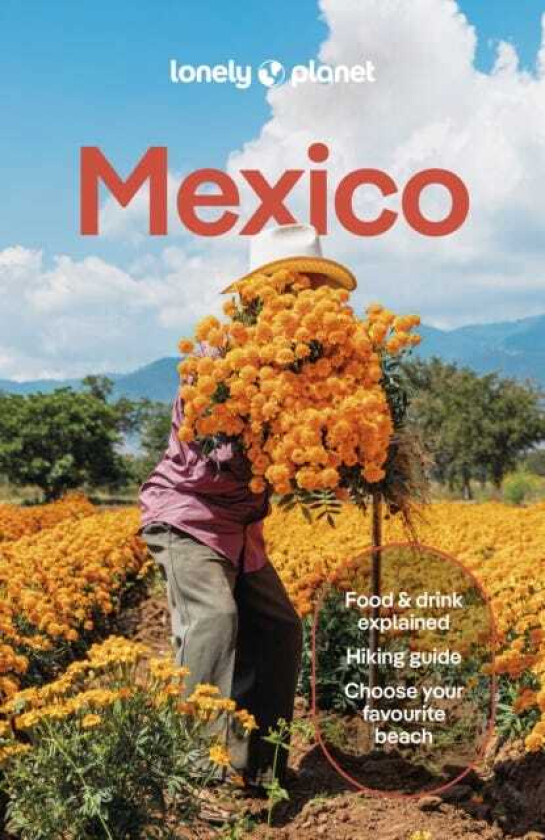 Lonely Planet Mexico