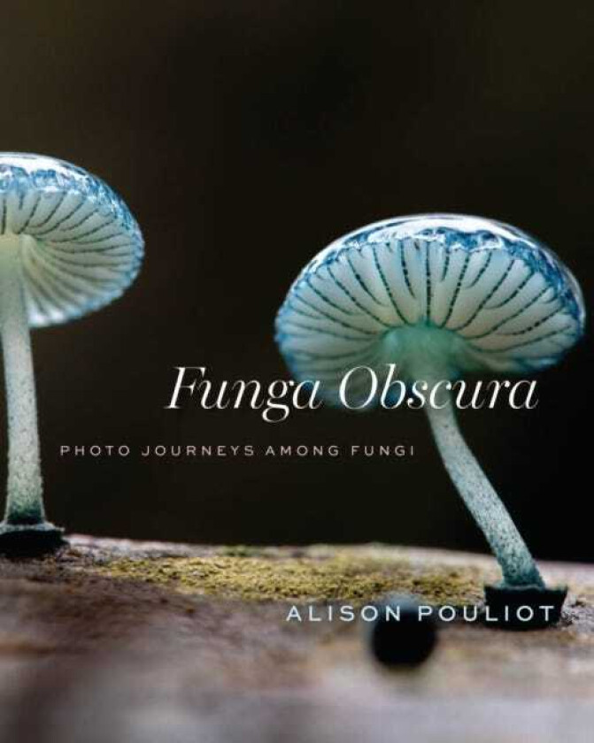 Funga Obscura Photo Journeys Among Fungi