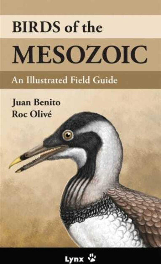 Birds of the Mesozoic