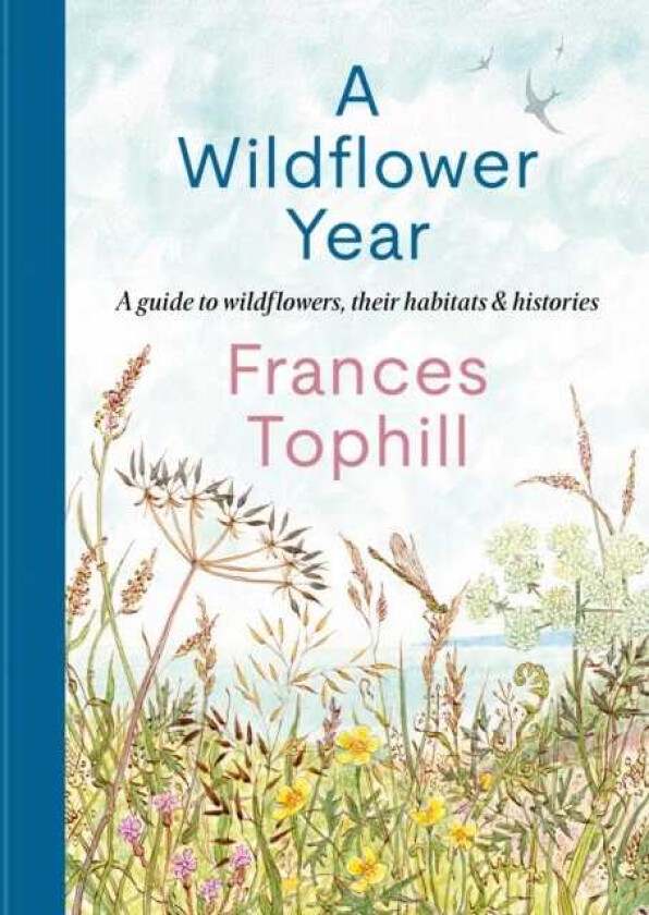 A Wildflower Year A Guide to Wildflowers, their Habitats and Medicinal Uses
