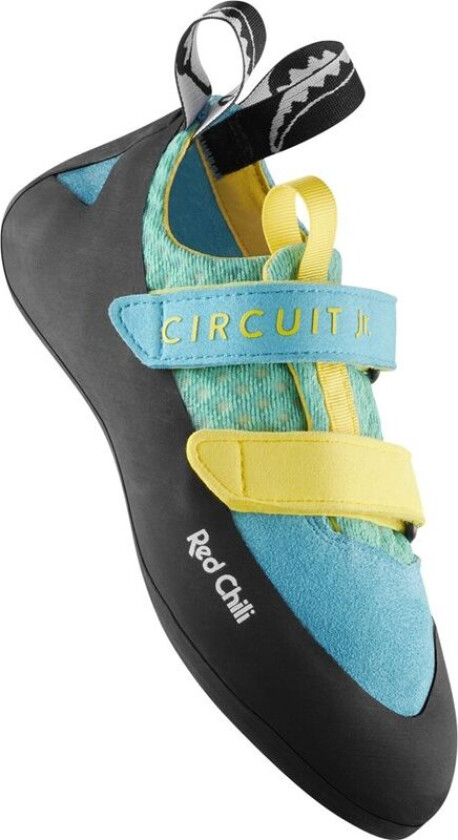 Circuit Junior Blue