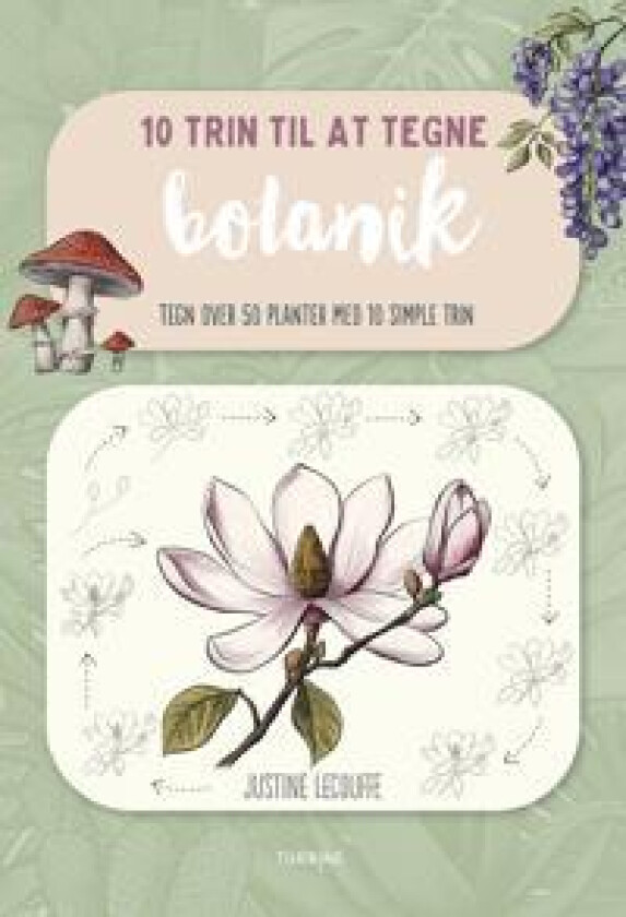 10 trin til at tegne botanik