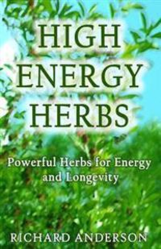 High Energy Herbs: Powerful Herbs for Energy and Longevity