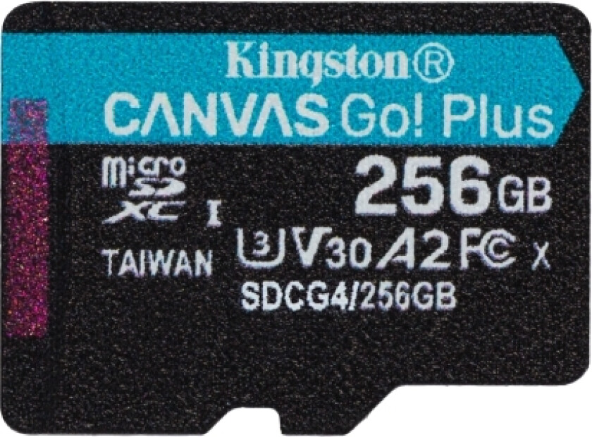Canvas Go! Plus, 256 Gb, Microsd, Klasse 10, Uhs-I, 200 Mb/S, 160 Mb/S