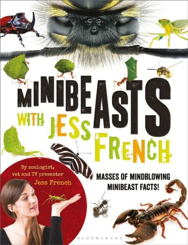 Minibeasts with Jess French av Jess French