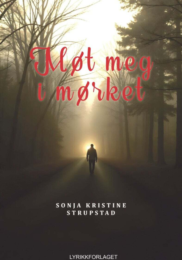 Møt meg i mørket av Sonja Kristine Strupstad