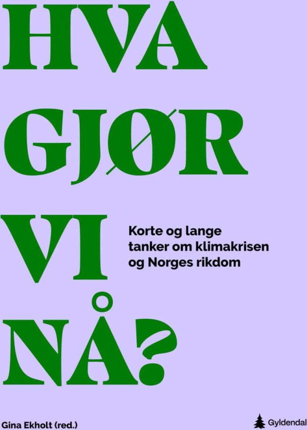 Hva gjør vi nå? av Gina Ekholt