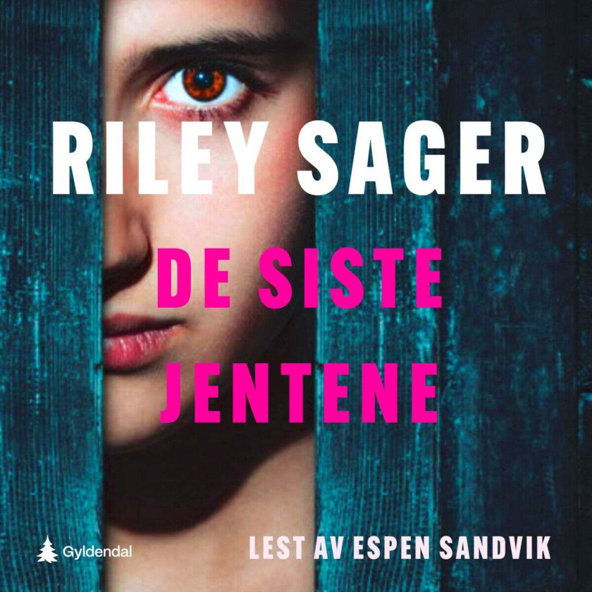 De siste jentene av Riley Sager