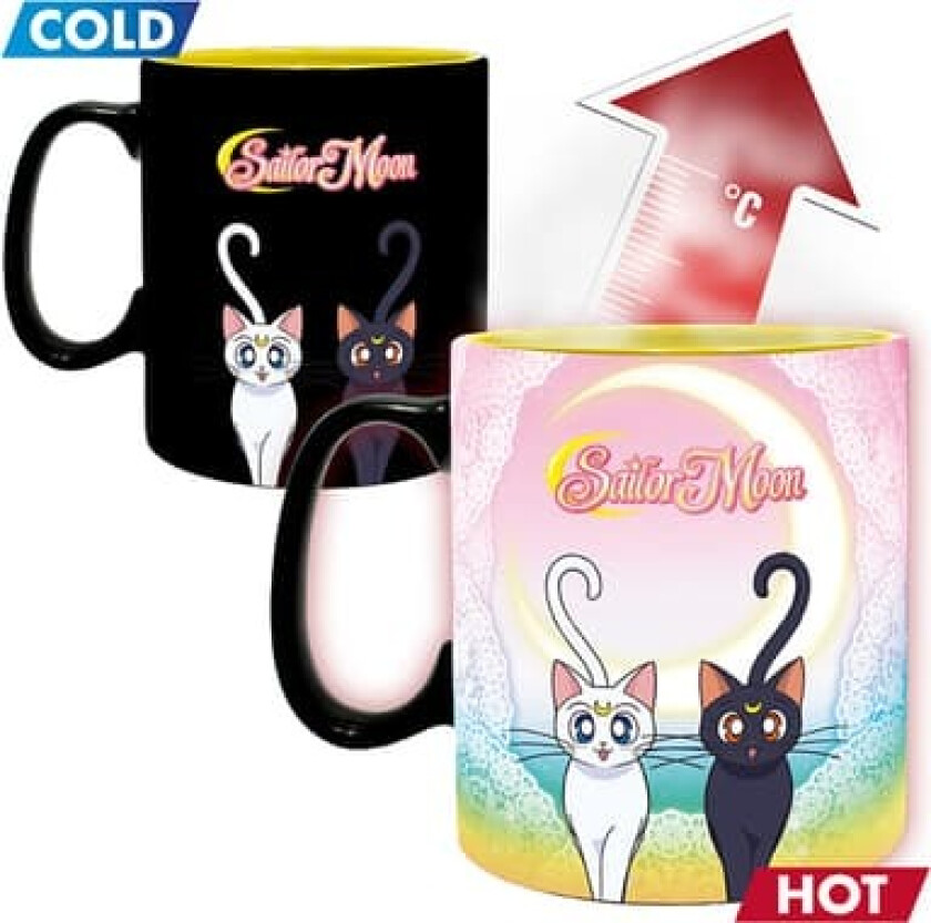 Sailor Moon krus (Group)