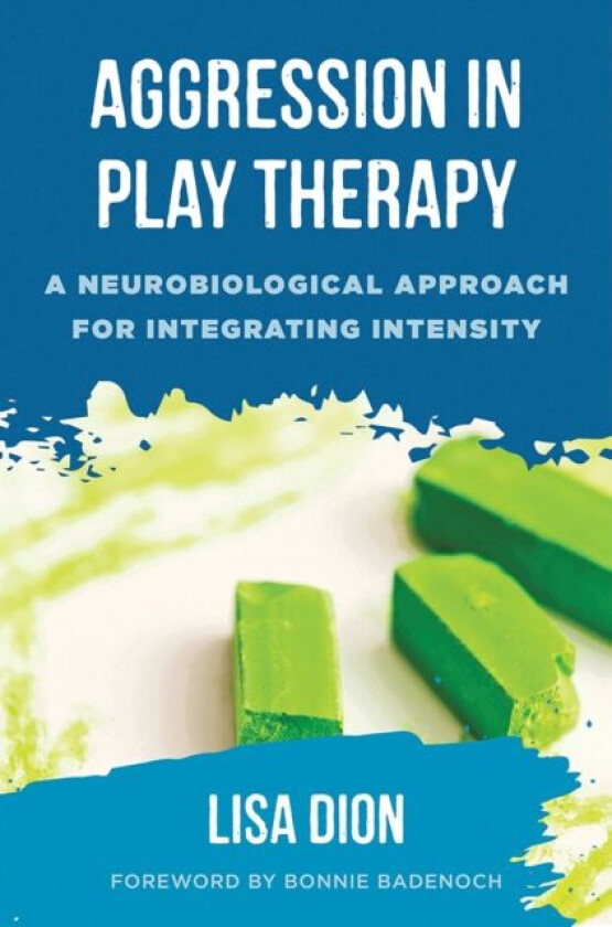Aggression in Play Therapy av Lisa Dion