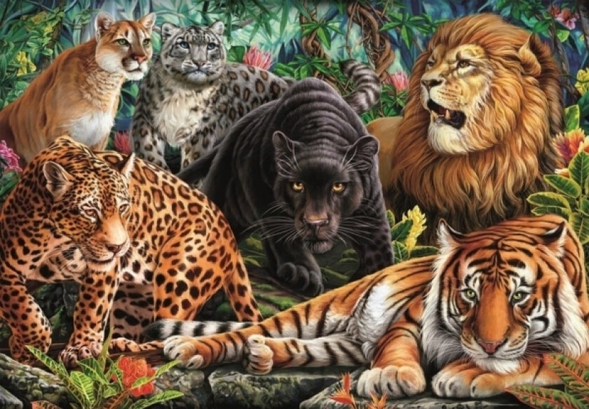 Puzzle Compact Wild Cats 500 Brikker (35584)