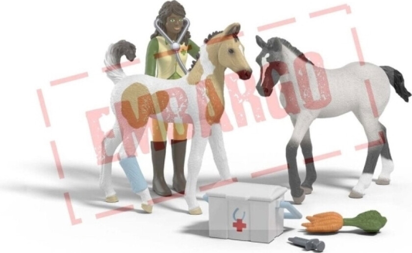 Sarahs First Aid Kit