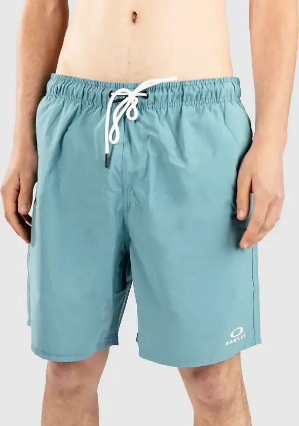 Clear Lake 18"Volley Boardshorts blå