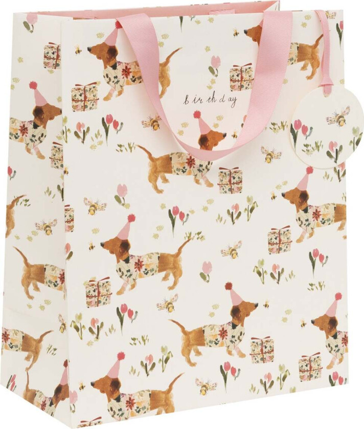 Gavepose Birthday Sausage L