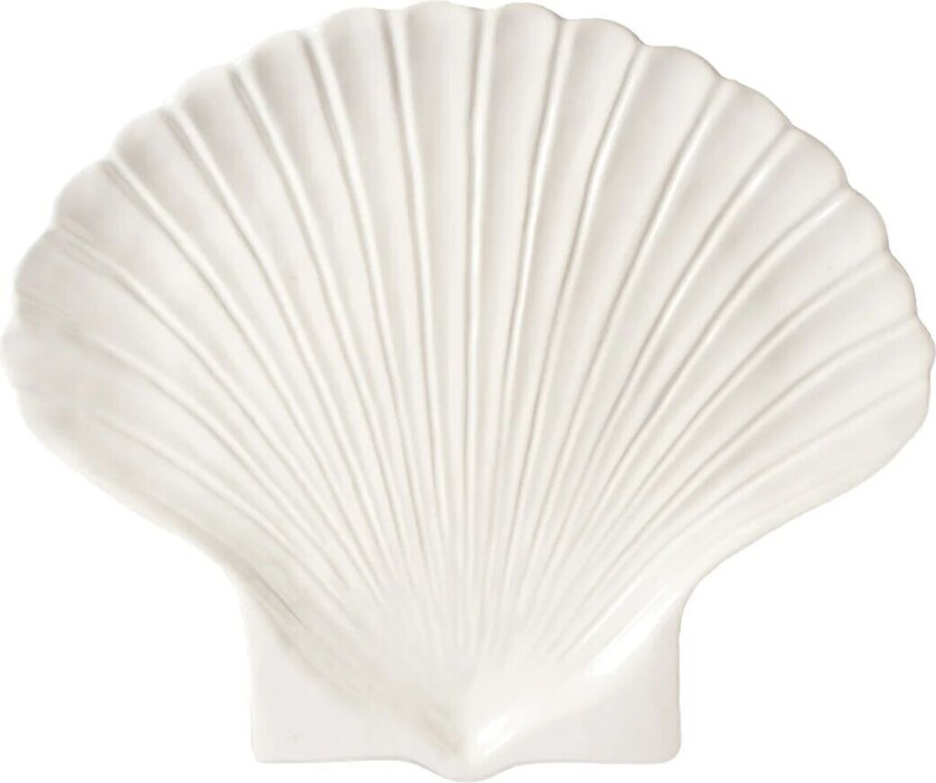 Shell tallerken XL
