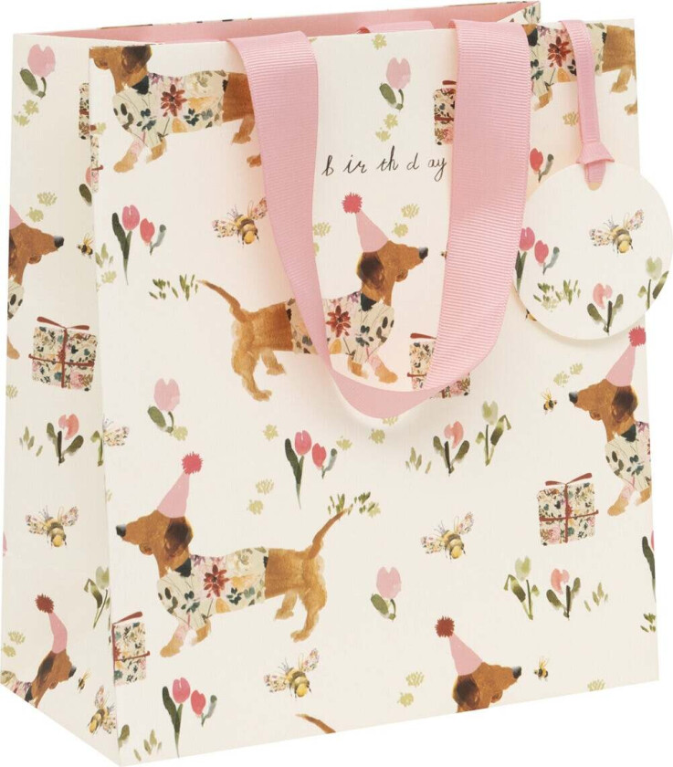 Gavepose Birthday Sausage M