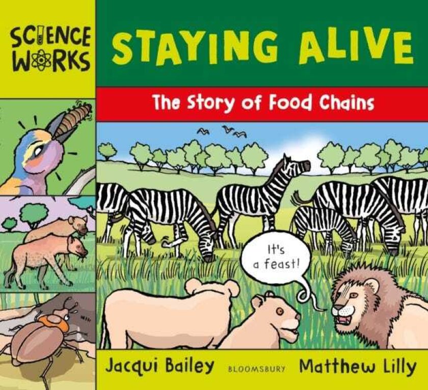 Staying Alive The Story of a Food Chain