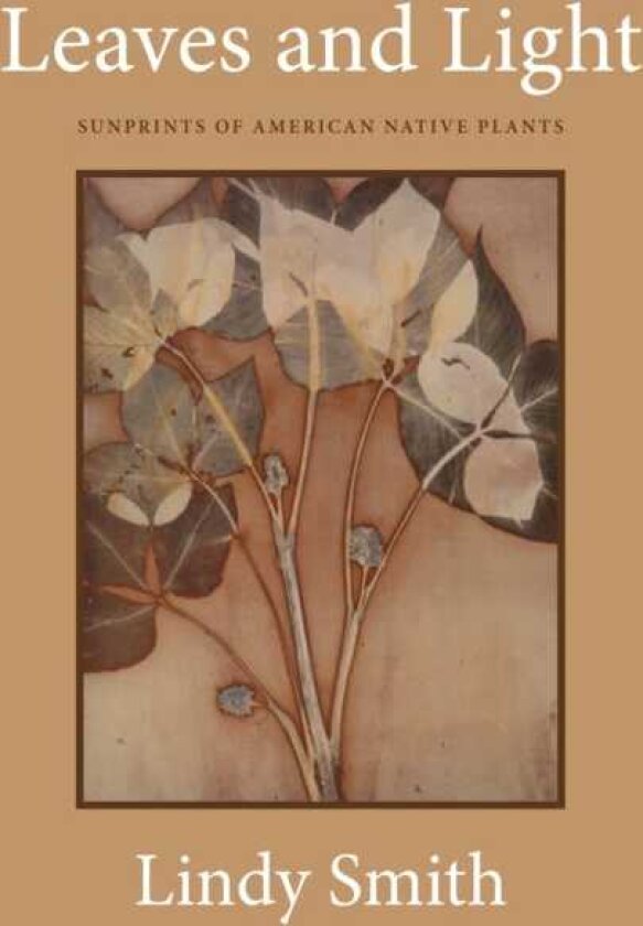 Leaves and Light Sunprints of American Native Plants