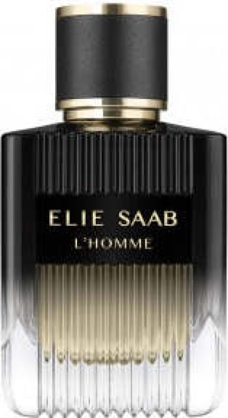 Elie saab L`Homme - Eau de Parfum 100 ml