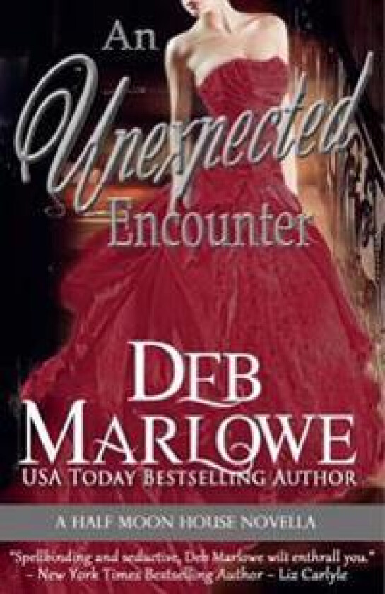 An Unexpected Encounter: Half Moon House Novella 1